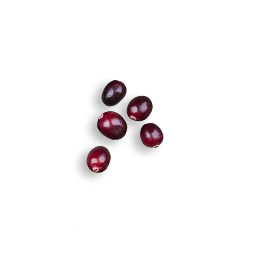 Cranberries Cranberries
