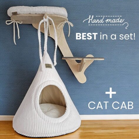 OLIVE BRANCH + CAT CAB 1