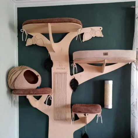 Tiragraffi a parete BIRCH 14