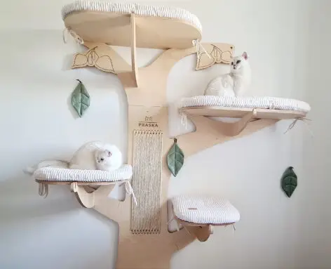 Tiragraffi a parete BIRCH 6
