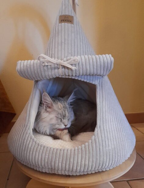 SUPPORTO IN COMPENSATO 8