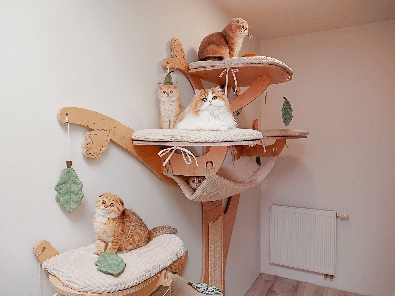 Tiragraffi a parete OAK 6