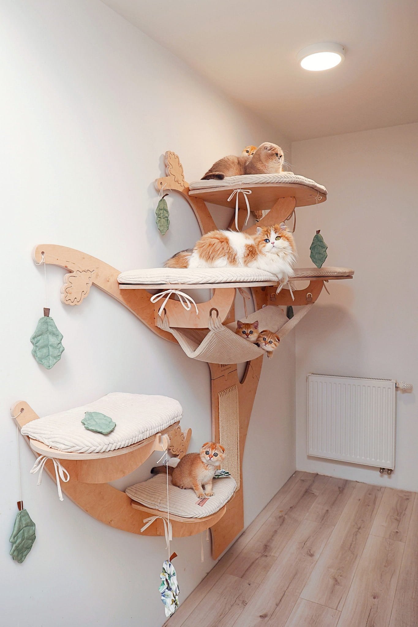 Tiragraffi a parete OAK 4