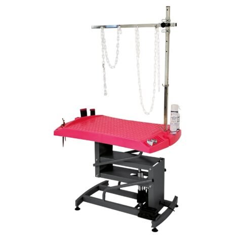 Tavolo regolabile elettrico Evolutech 100 1