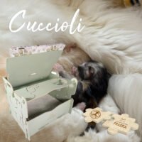 PRASKA CUCCIOLI